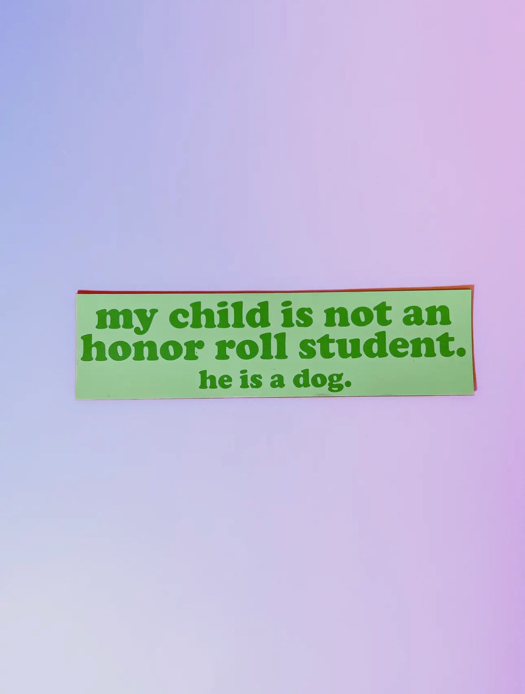 Not An Honor Roll Student Car Magnet