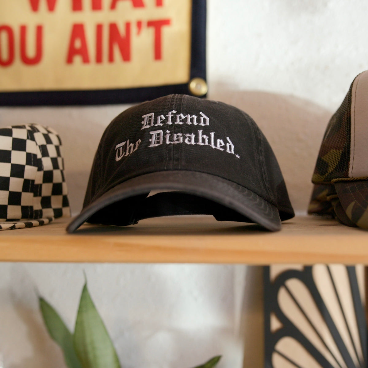 Defend The Disabled Embroidered Hat – Grady Ln