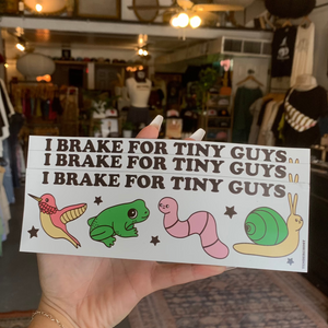 Car Bumper Magnet